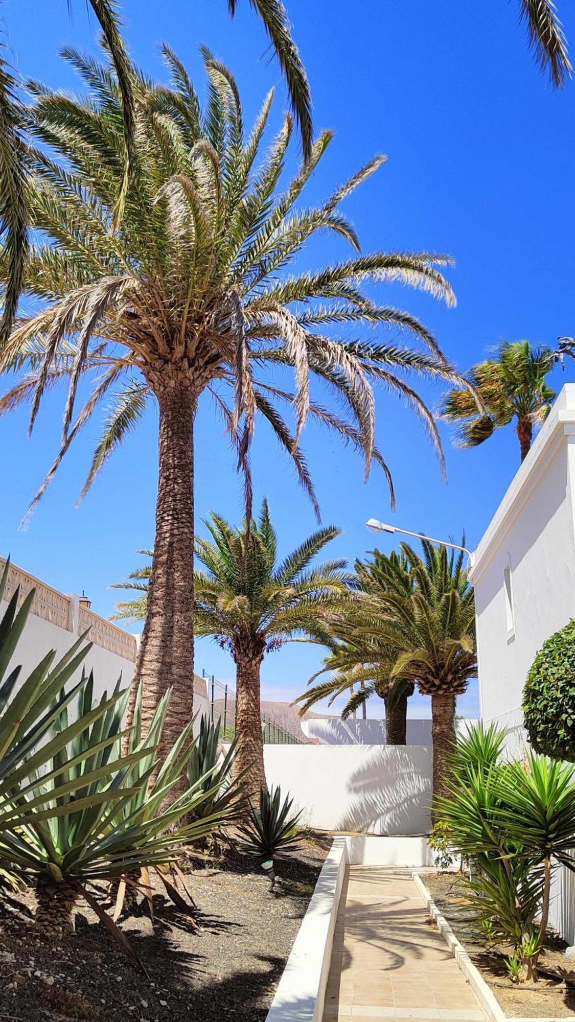 Momis House Corralejo Dunas piscinas bicicletas vista Parque Natural Exterior foto